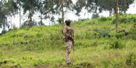 Afrikanischer Soldat aus Kenya in Kampfausrüstung steht unter Bäumen im Gras