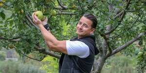 Der Sänger Andreas Gabalier steht unter Obstbäumen und greift nach einem Apfel
