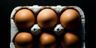Sechs «Bio-Hühnereier» in einer Eier-Verpackung
