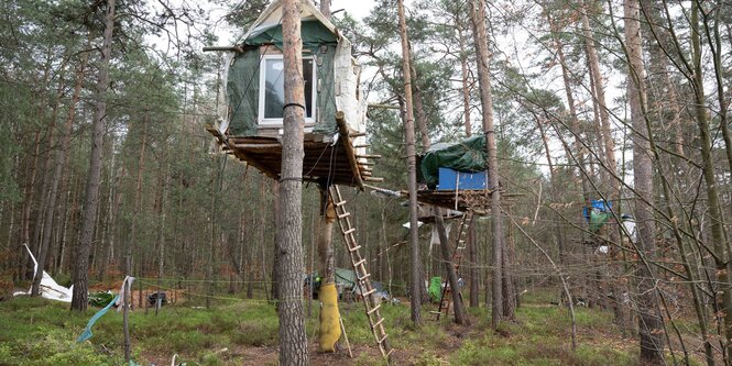 Ein Baumhaus im Wald