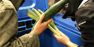 Zwei Personen beim Containern: Hier holen sie Gemüse aus einer Mülltonne
