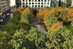 Sicht auf den Besselpark von weit oben aus dem sechsten Stock der taz