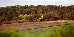 Ein sogenanntes «Asse-A» steht hinter einem Feld vor einem Wald.