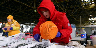 Marktfrauen verkaufen Fisch