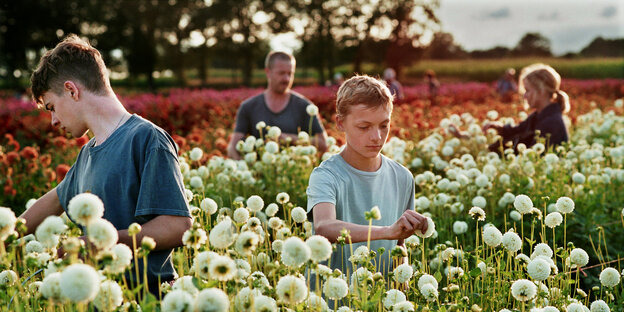 Zwei Jungen und zwei Erwachsene stehen in einem Feld mit hohen Blumen