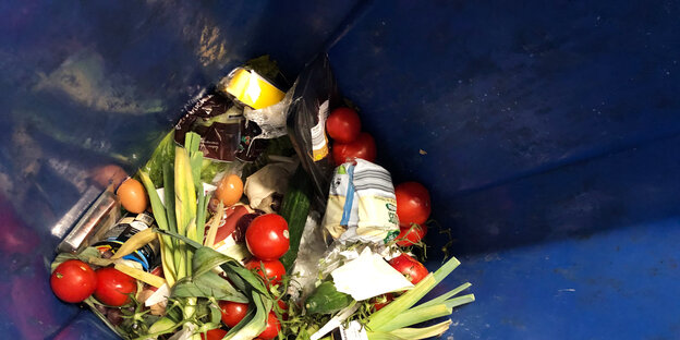 Blick in eine blaue Mülltonne, darin: ein Haufen Lebensmittel, die noch essbar aussehen.