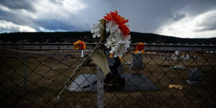 Eine Blume auf einem Taun, Dahinter ein Friedhof