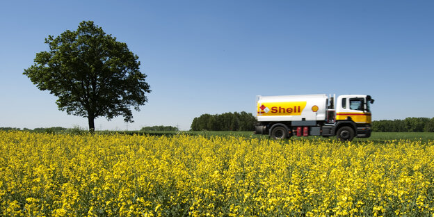 Ein Shell-Truck fährt an einem blühenden Rapsfeld vorbei.