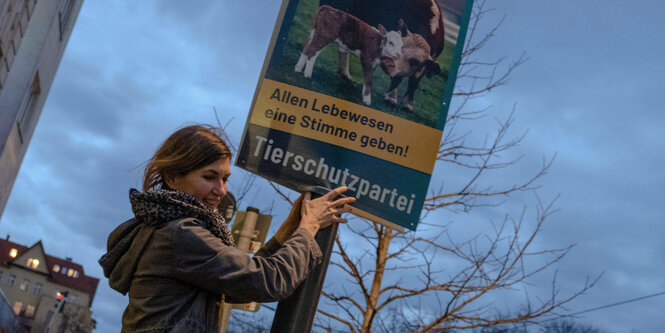 Wahlhelfter hängt ein Wahlplakt der Tierschutzpartei für die Wiederholungswahl zum Berliner Abgeordnetenhaus hängen in Berlin-Prenzlauer Berg auf. Darauf zu lesen: 