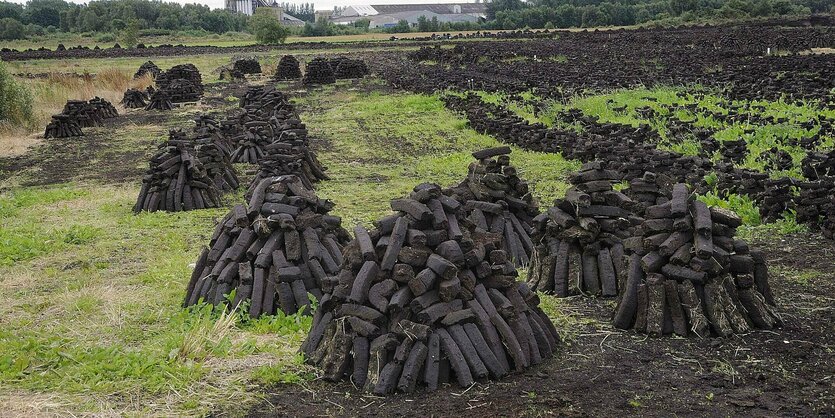 Getrocknete Moorlandschaft mit aufgehäuften Torfstücken