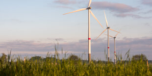 Mehrere Windräder stehen auf einer Ackerfläche