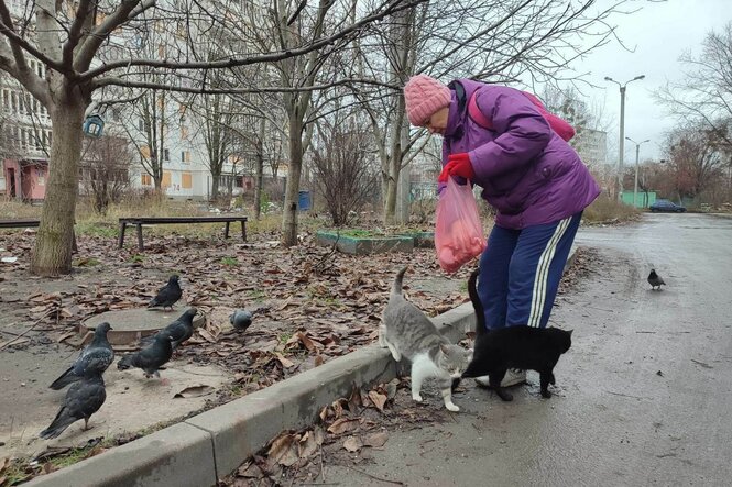 Eine Frau mit Wolmütze, rosa jacke und Trainingshose hält einen Plasikbeutel in der Hand und füttert 2 Katzen