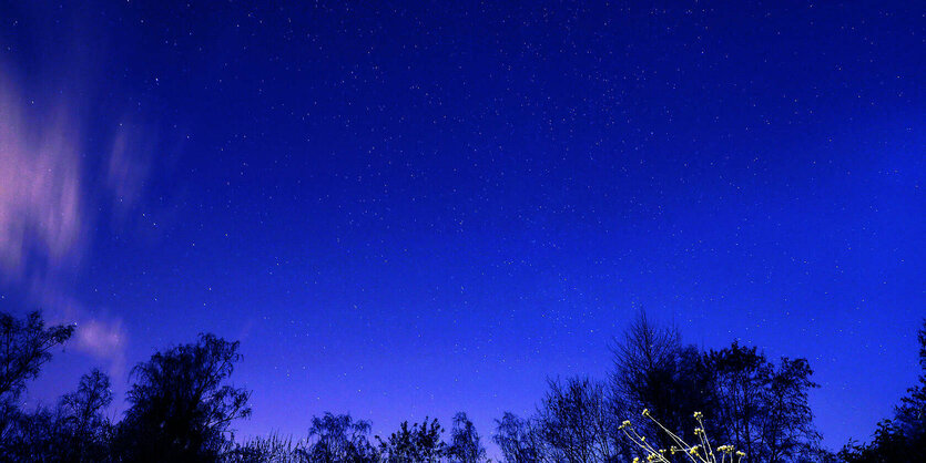 Blick in einen Sternenhimmel