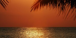 Ein Sonnenuntergang am Meer mit Palmen