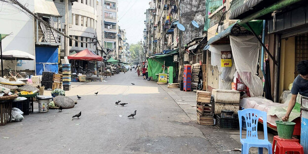 Auf einer leeren Straßen sitzen ein paar Tauben neben verlassenen Marktständen