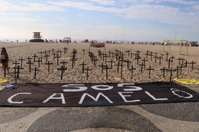 Holzkreuze auf dem Stzrand. Davor ein Banner worauf "SOS Camelos" steht