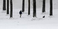 Eine Person geht mit einem Hund in einem verschneiten Wald spatzieren