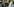 Sergei Lawrow und Abdoulaye Diop