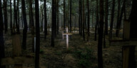 Светлые деревянные кресты в темном лесу