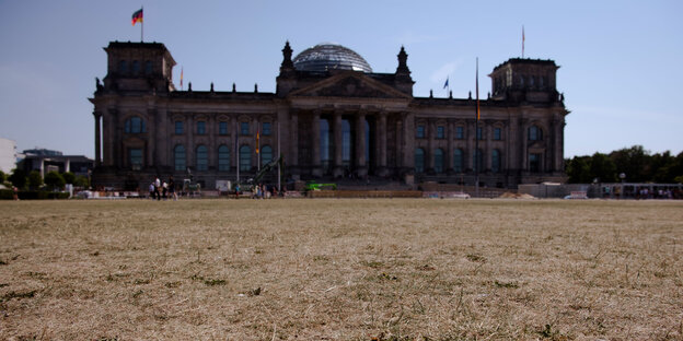 Die ehemals grüne Wiese vor dem Reichstagsgebäude ist verdörrt.