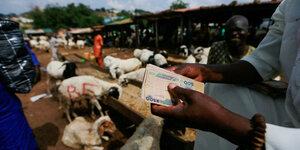Bargeld Naira-Scheine in Nigeria in der Hand eines Mannes