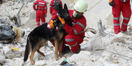 Rettungsmann in rotem Anzug umarmt Schäferhund - mitten zwischen Trümmern