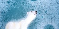 Ein Spielzeug Eisbär schwimmt in einer Badewanne