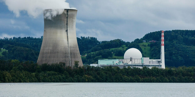 Schweizer Atomkraftwerk Leibstadt mit Dampf