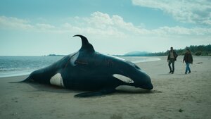 Szene aus der Serie: Ein Orca liegt tot am Strand mit Stichverletzungen