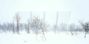 In einer Schneelandschaft taucht hinter kahlen Bäumen kaum sichtbar eine schirmartige Wand auf
