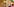 Erika Steinbach lächelt in die Kamera vor dem Budnesadeler im bundesverfassungsgericht