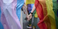 Zwei Menschen reichen sich die Hand, auf dem Rücken tragen sie die trans- und die Regenbogenflagge