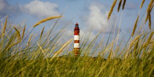 Ein Leuchtturm in der Ferne von einer Wiese aus der Froschperspektive.