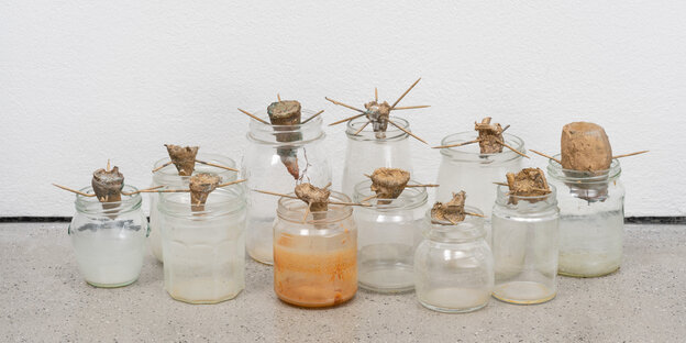 Auf dem Galerieboden steht eine Sammlung von leeren Marmeladengläsern. Am Rand der Gläser balancieren auf Holzstäbchen aufgespieste Pflanzen- und Wurzelstücke