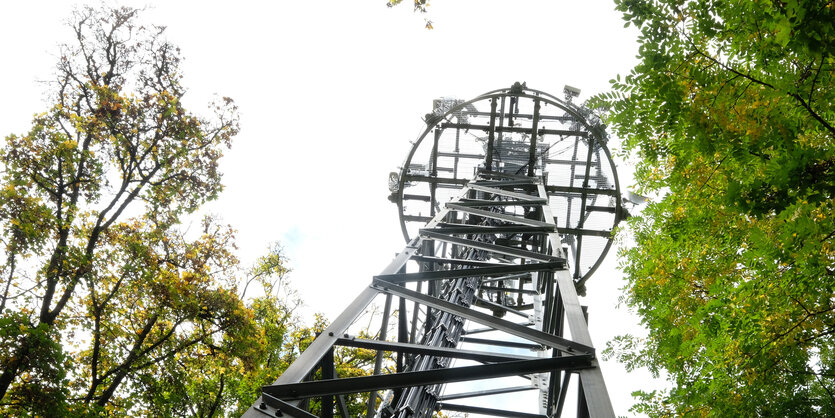 schräg von unten fotografierter Mobilfunkmast im Wald