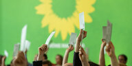 Hände mit Abstimmungszetteln, im Hintergrund eine grüne Wand mit Sonnenblumensymbol