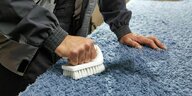 Ein blauer Teppich mit einem dunklen Felck wird mit einer Bürste bearbeitet