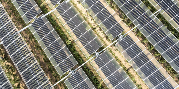 Solarmodulen aus der Vogelperspektive fotografiert auf einem großen Feld