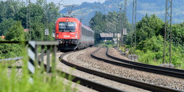 Ein ÖBB-Zug fährt durch eine sommerliche Landschaft, im Vordergrund die Gleise