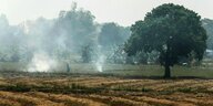 Ein Farmer brennt seub -feld ab, Rauchwolken steigen auf