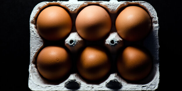 Sechs Hühnereier in einer Eier-Verpackung.