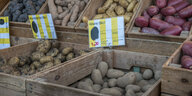 Kartoffeln in verschiedenen Darben in Holzkisten mit Preisschildern