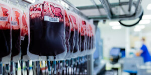 Blutkonserven in einem Labor