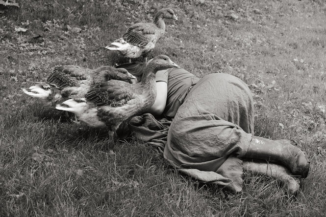 Eine Frau mit Gumistiefeln liegt im Gras, um sie herum Gänse