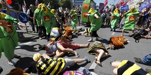 Demonstranten in Bienenkostümen liegen bei einem Protest gegen ein Monsanto-Pestizid auf der Straße.