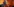 Erdogan-Supporter schwenken Flaggen vor einem Plakat mit dem Portrait von Erdoğan