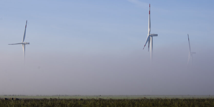 Windräder hinter Nebelstreifen