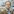 Der Autor Nicolaus Wilder mit hoher Stirn und im braun-kartierten Jacket
