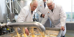 König Charles und Steinmeier sind in einer Käsefabrik, haben Schutzkleidung an und schauen fasziniert nach unten in Richtung Käse, der verarbeitet wird