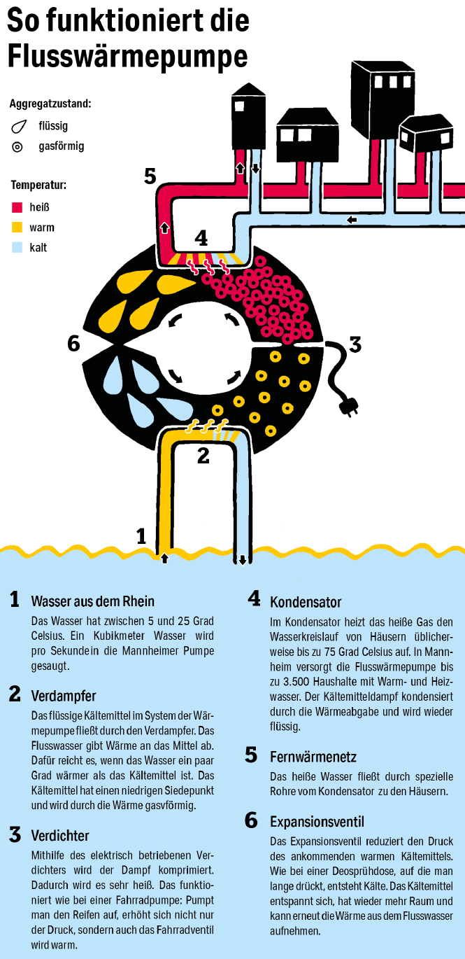 Diese Infografik zeigt mithilfe einer schematischen Zeichnung der Flusswärmepumpe, wie Wärme aus dem Rheinwasser genutzt wird, um Häuser zu heizen.